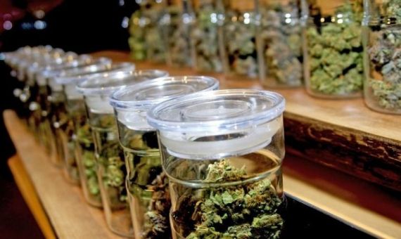 le cannabis à barcelone